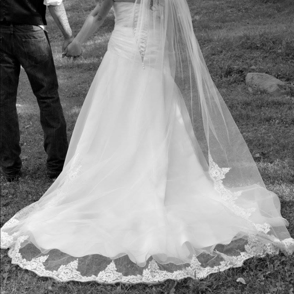 Cathedral length lace veil